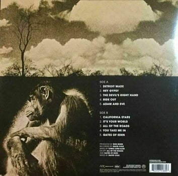 Vinyl Record Bob Seger - Ride Out (LP) (180g) - 4