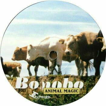 Disco in vinile Bonobo - Animal Magic (2 LP) (Yellow Coloured) (180g) - 4
