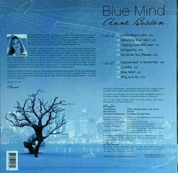 Płyta winylowa Anne Bisson - Blue Mind (LP) (180g) - 2