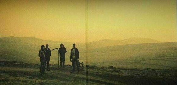 LP Arctic Monkeys - Suck It And See (LP) (180g) - 3