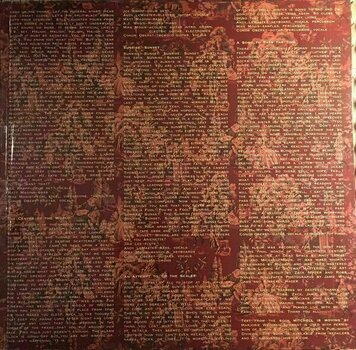 Hanglemez Bright Eyes - Fevers And Mirrors (Gatefold) (2 LP) - 4