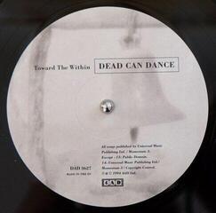 LP Dead Can Dance - Toward The Within (2 LP) - 3