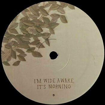 Płyta winylowa Bright Eyes - I'm Wide Awake, It's Morning (LP) - 6
