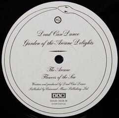 Disque vinyle Dead Can Dance - Garden Of The Arcane Delights + Peel Sessions (2 LP) - 3