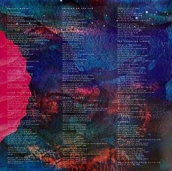 LP Broken Bells - After The Disco (LP) (180g) - 2