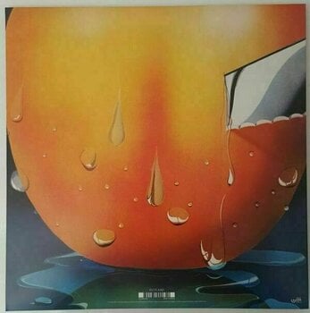 LP Gentle Giant - Acquiring The Taste (180g) (LP) - 5