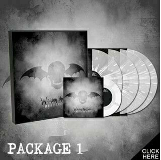 LP Avenged Sevenfold - Waking The Fallen: Resurrected (Deluxe Edition) (4 LP + DVD) - 2