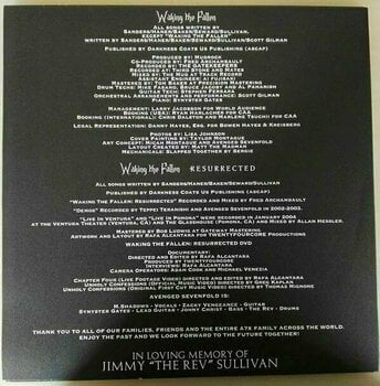 LP Avenged Sevenfold - Waking The Fallen: Resurrected (Deluxe Edition) (4 LP + DVD) - 12