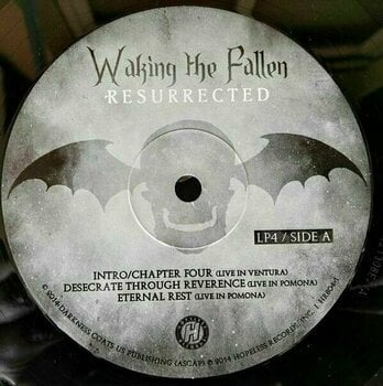 LP Avenged Sevenfold - Waking The Fallen: Resurrected (Deluxe Edition) (4 LP + DVD) - 13