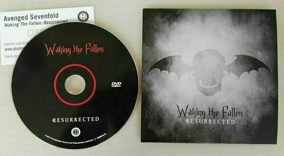 LP Avenged Sevenfold - Waking The Fallen: Resurrected (Deluxe Edition) (4 LP + DVD) - 14