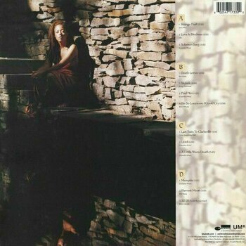 Płyta winylowa Cassandra Wilson - New Moon Daughter (Remastered) (2 LP) - 2