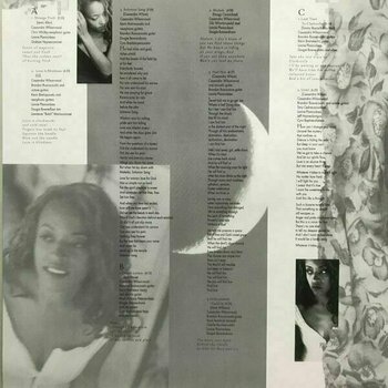 Vinyl Record Cassandra Wilson - New Moon Daughter (Remastered) (2 LP) - 4