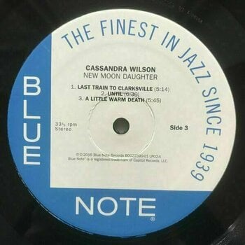 Vinyl Record Cassandra Wilson - New Moon Daughter (Remastered) (2 LP) - 8