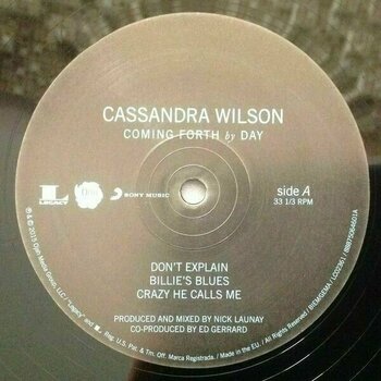 LP Cassandra Wilson - Coming Forth By Day (2 LP) (180g) - 3