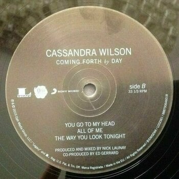 Disco in vinile Cassandra Wilson - Coming Forth By Day (2 LP) (180g) - 4