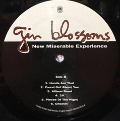 Schallplatte Gin Blossoms - New Miserable Experience (LP) - 2