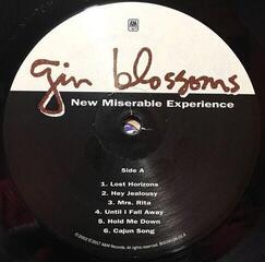 Schallplatte Gin Blossoms - New Miserable Experience (LP) - 3