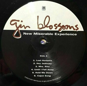 Hanglemez Gin Blossoms - New Miserable Experience (LP) - 4
