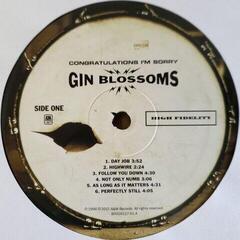 Vinyl Record Gin Blossoms - Congratulations I'm Sorry (LP) - 2