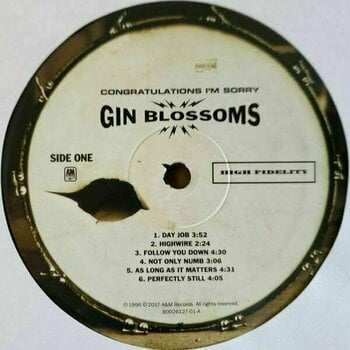 LP Gin Blossoms - Congratulations I'm Sorry (LP) - 3