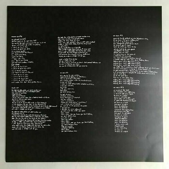 Δίσκος LP Elliott Smith - Roman Candle (LP) (180g) - 8