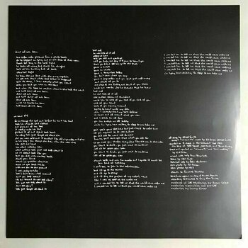 Δίσκος LP Elliott Smith - Roman Candle (LP) (180g) - 9