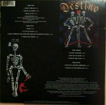 Δίσκος LP Concrete Blonde - Mexican Moon (2 LP) - 2