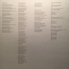 Vinylplade Belle and Sebastian - Girls In Peacetime Want To Dance (Box Set) (Limited Edition) (4 LP) - 3