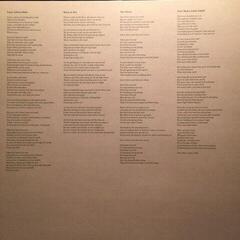 Vinylplade Belle and Sebastian - Girls In Peacetime Want To Dance (Box Set) (Limited Edition) (4 LP) - 7