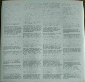 LP Belle and Sebastian - How To Solve Our Human Problems (Box Set) (Limited Edition) (3 LP) - 10