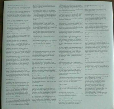 LP Belle and Sebastian - How To Solve Our Human Problems (Box Set) (Limited Edition) (3 LP) - 17
