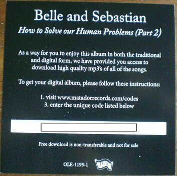 Disco in vinile Belle and Sebastian - How To Solve Our Human Problems (Box Set) (Limited Edition) (3 LP) - 20