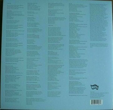 LP Belle and Sebastian - How To Solve Our Human Problems (Box Set) (Limited Edition) (3 LP) - 22