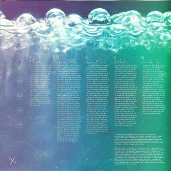 Disque vinyle Belly - Dove (LP) - 6