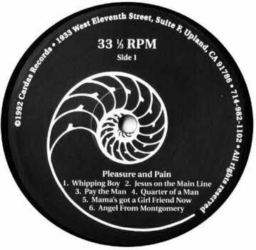 Disco in vinile Ben Harper - Pleasure And Pain (LP) (180g) - 3