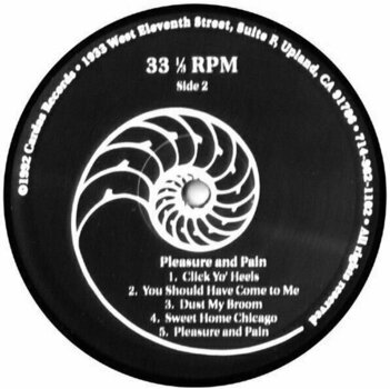 LP Ben Harper - Pleasure And Pain (LP) (180g) - 4