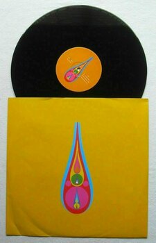 Δίσκος LP Björk - Voltiac (3 LP + 2 CD + 2 DVD) (200g) - 6