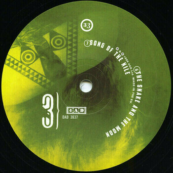 Disque vinyle Dead Can Dance - Spiritchaser (2 LP) - 8