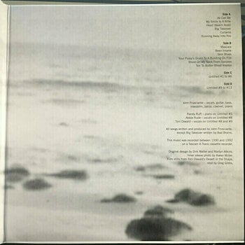 Δίσκος LP John Frusciante - Niandra LaDes And Usually Just A T-Shirt (Gatefold) (2 LP) - 4