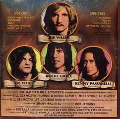 Vinylplate Joe Walsh The Smoker You Drink, The Player You Get (2 LP) (180g) (45 RPM) - 1