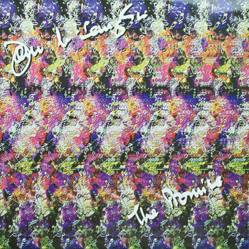 Vinyylilevy John McLaughlin - The Promise (2 LP) (180g) - 3