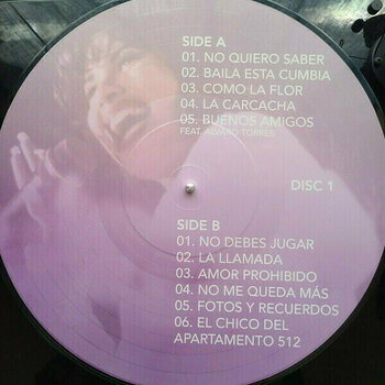 Vinylplade Selena - Ones (Picture Disc) (2 LP) - 3