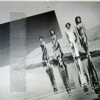 Disque vinyle En Vogue - Funky Divas (LP) - 6
