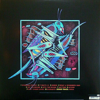 Δίσκος LP My Morning Jacket - Z (2 LP) - 2