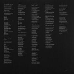 LP ploča Alabama Shakes - Sound & Color (Clear Vinyl) (2 LP) - 3