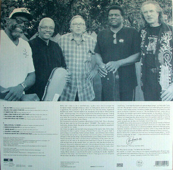 LP ploča Hans Theessink - Delta Time (180g) (LP) - 5