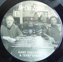 LP platňa Hans Theessink - Delta Time (180g) (LP) - 2