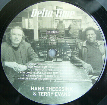 LP ploča Hans Theessink - Delta Time (180g) (LP) - 3
