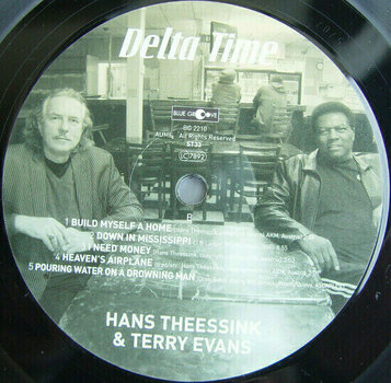 LP ploča Hans Theessink - Delta Time (180g) (LP) - 4