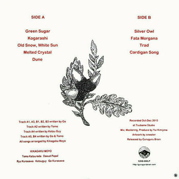 Δίσκος LP Kikagaku Moyo - House In The Tall Grass (LP) - 2